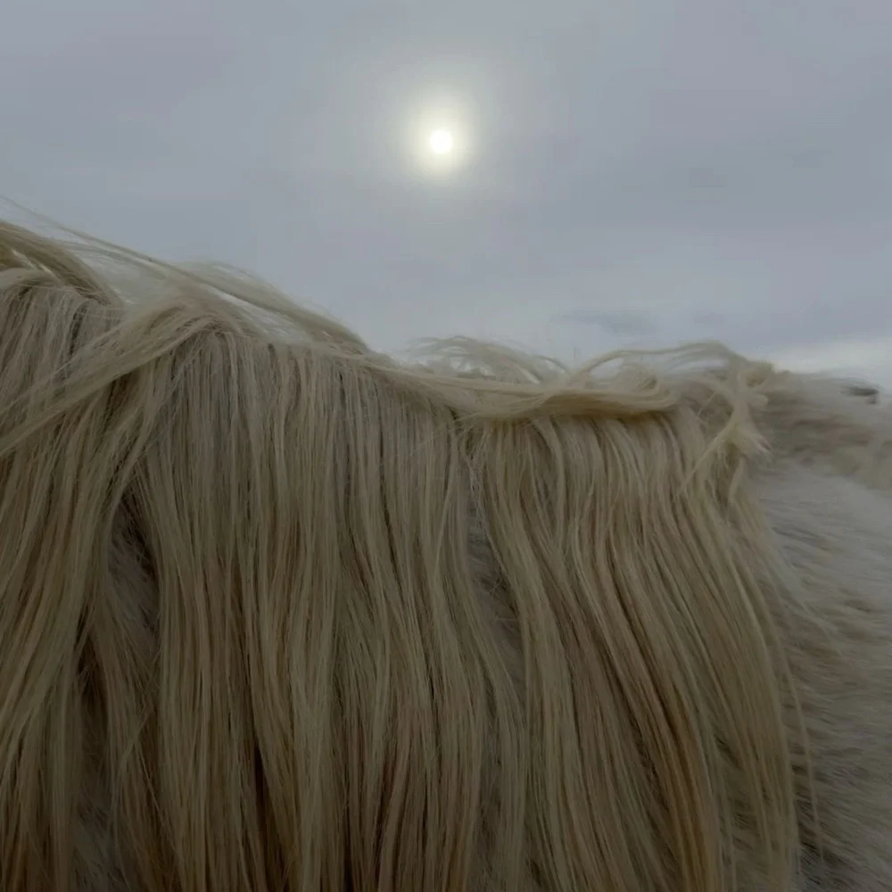 Mood - Picture 4 of 4